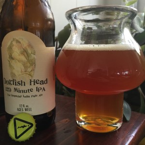 Dogfish Head 120 Minute